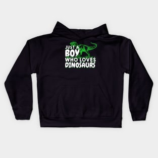 Just A Boy Who Loves Dinosaurs Kids Hoodie